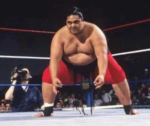 Yokozuna